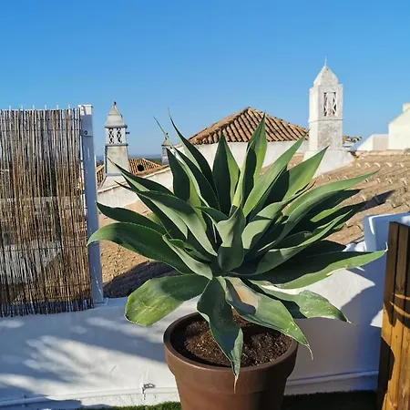 A Casa 360 N14 - Piscine Privee Sur Rooftop Semesterbostad